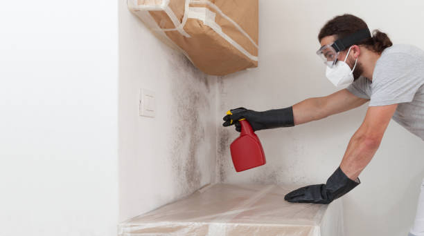 Professional Black Mold Remediation technician working in Church View, VA
