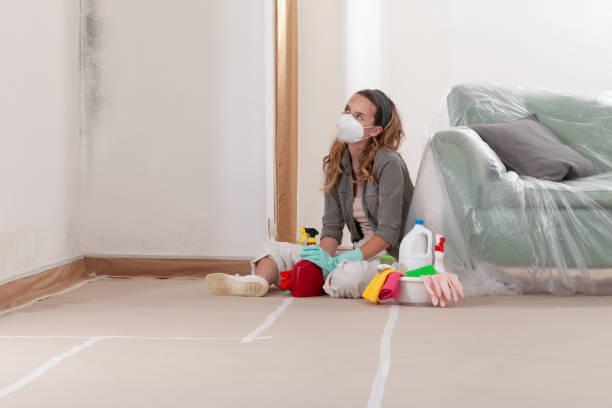 Reliable Black Mold Remediation contractor in Church View, VA by Car Mold Remediation